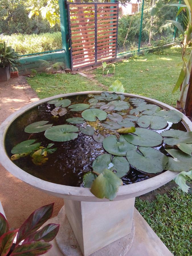 Waterway Garden Villa Polonnaruwa Luaran gambar